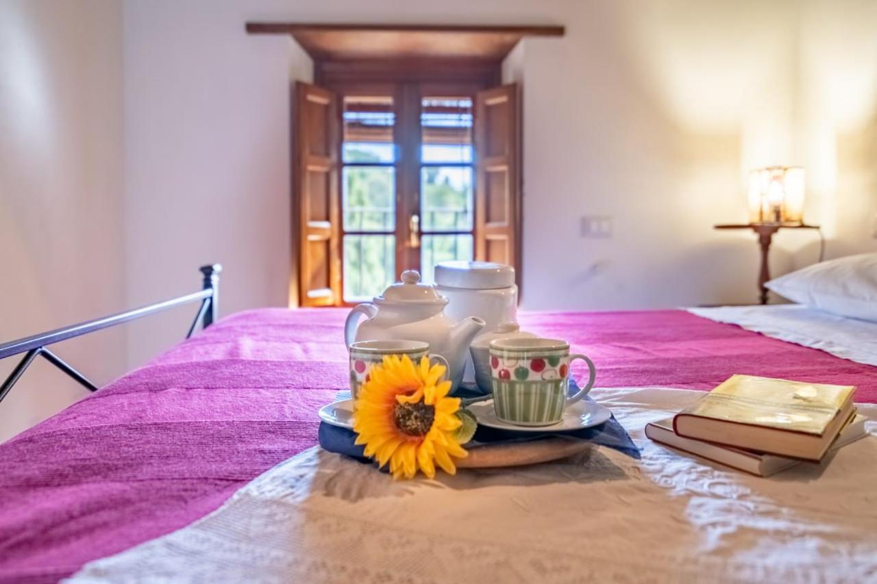 Al Giardino Degli Ulivi Guest House Santa Maria Albiano ภายนอก รูปภาพ