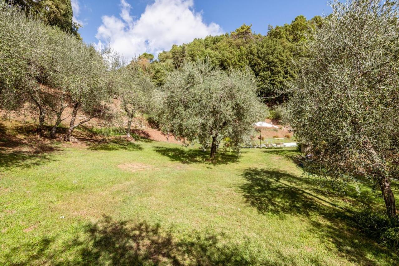 Al Giardino Degli Ulivi Guest House Santa Maria Albiano ภายนอก รูปภาพ