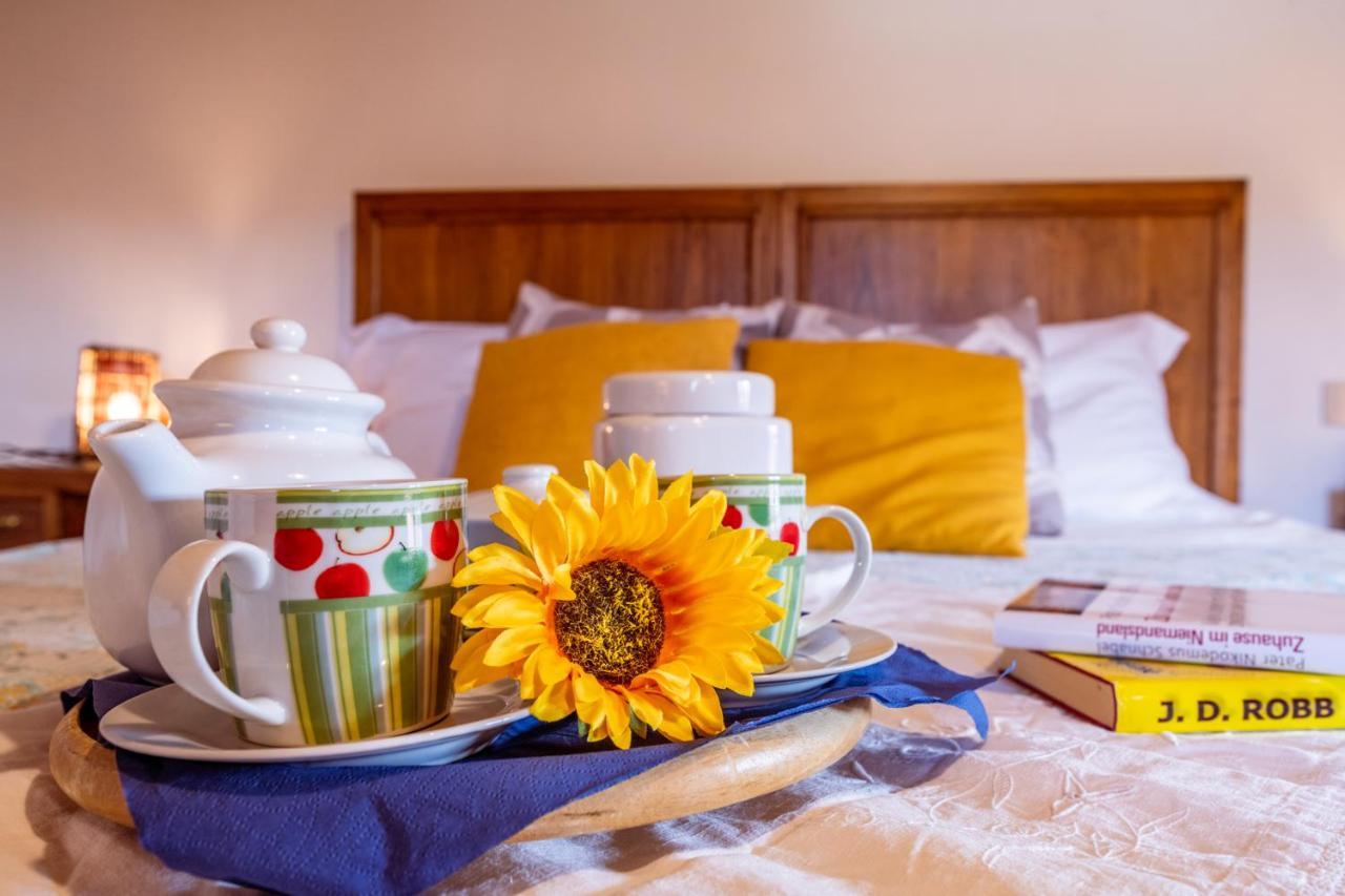 Al Giardino Degli Ulivi Guest House Santa Maria Albiano ภายนอก รูปภาพ
